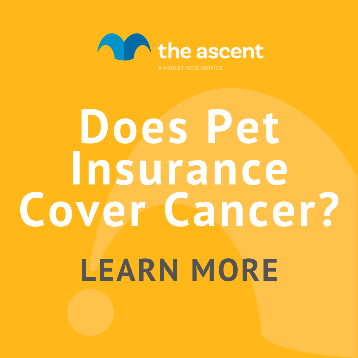 Cancer Coverage & Pet Insurance The Motley Fool