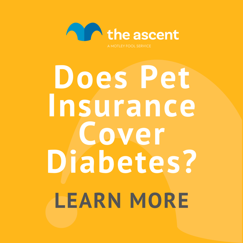 Diabetes Coverage and Pet Insurance The Motley Fool