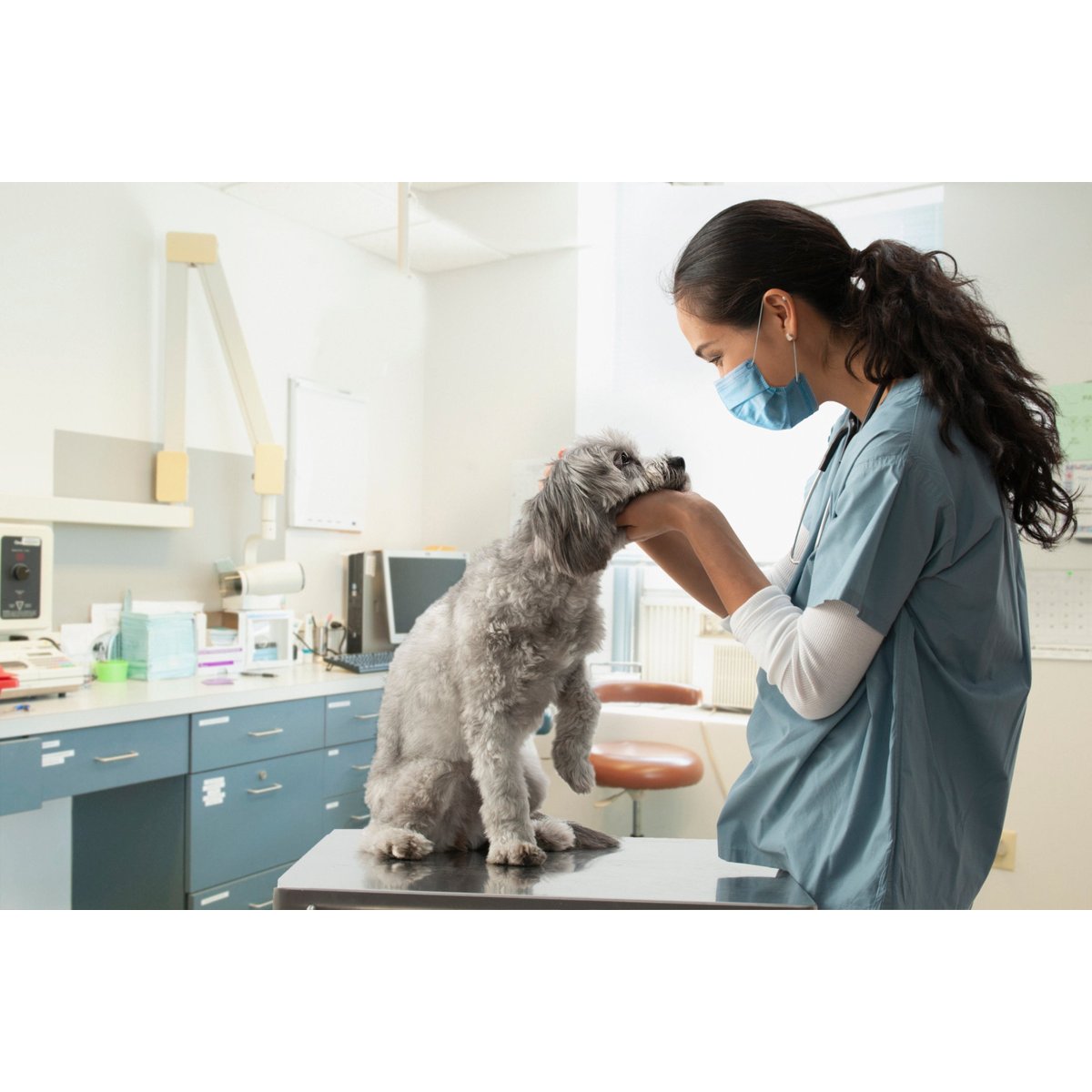 Can You Wait to Buy Pet Insurance Until Your Dog Gets Sick? Can You Wait to Buy Pet Insurance Until Your Dog Gets Sick?