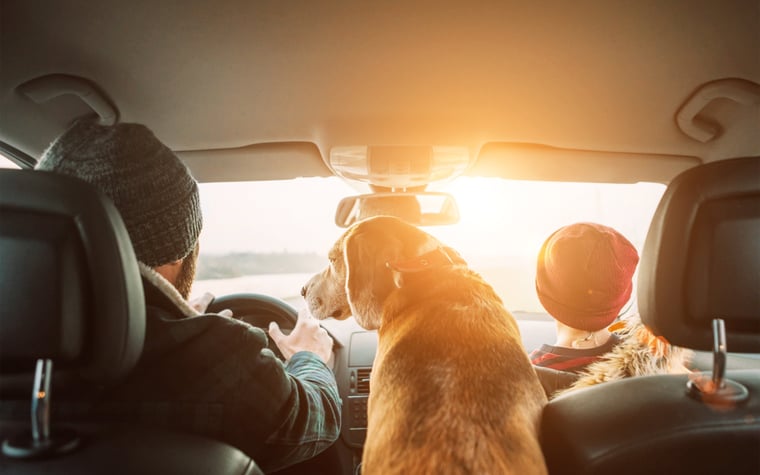 A family and their dog in a car on a road trip.