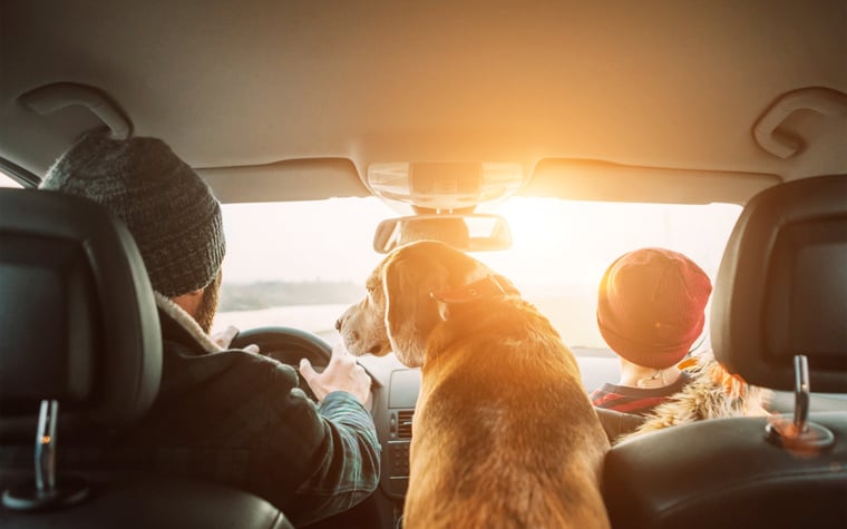 4 Pet-Friendly Hotels With No Pet Fees