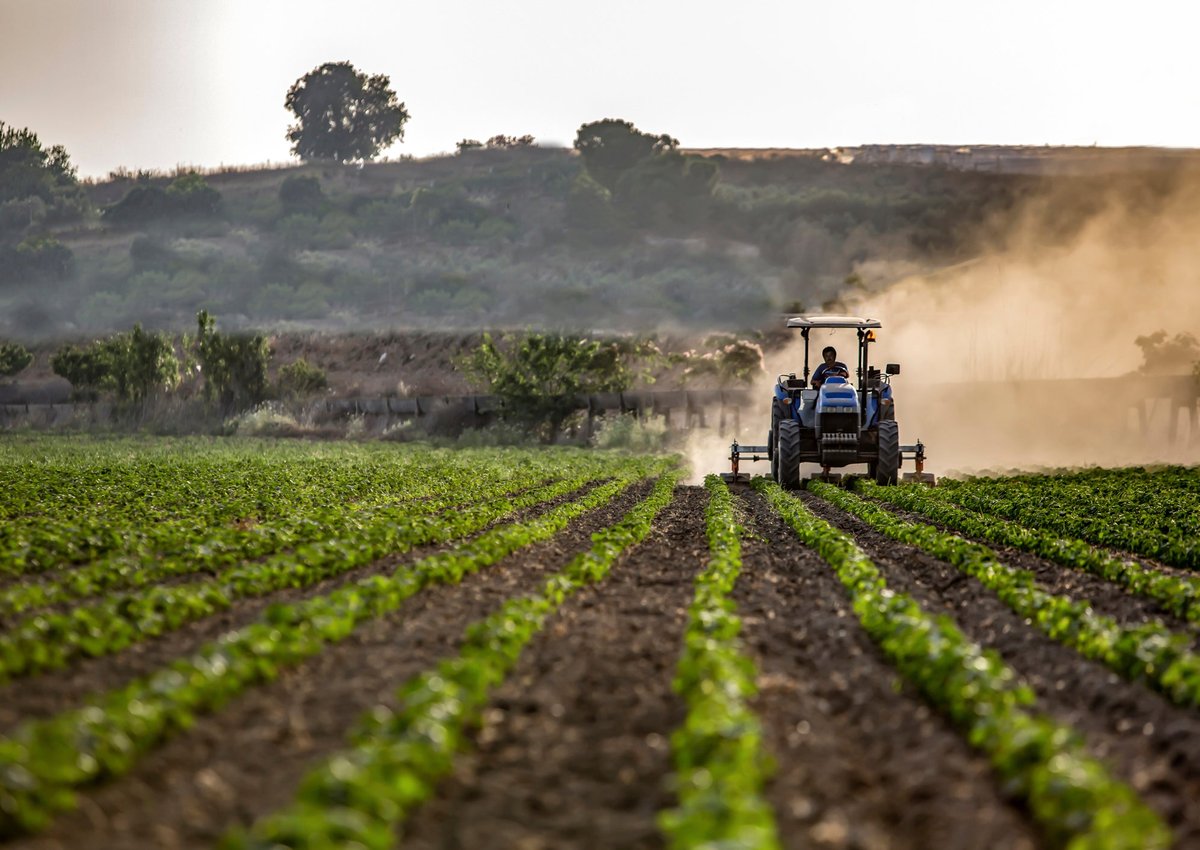 Farmer riding agriculture machine through field of crops.