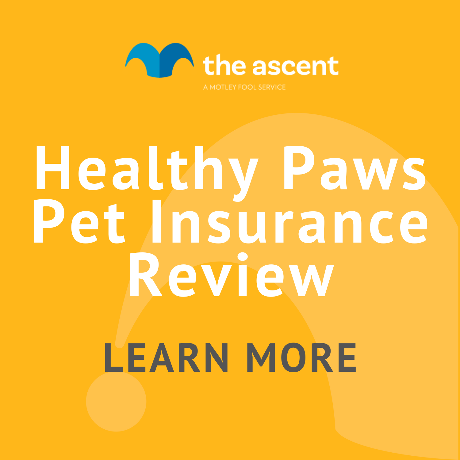 Healthy Paws Pet Insurance Review | The Motley Fool