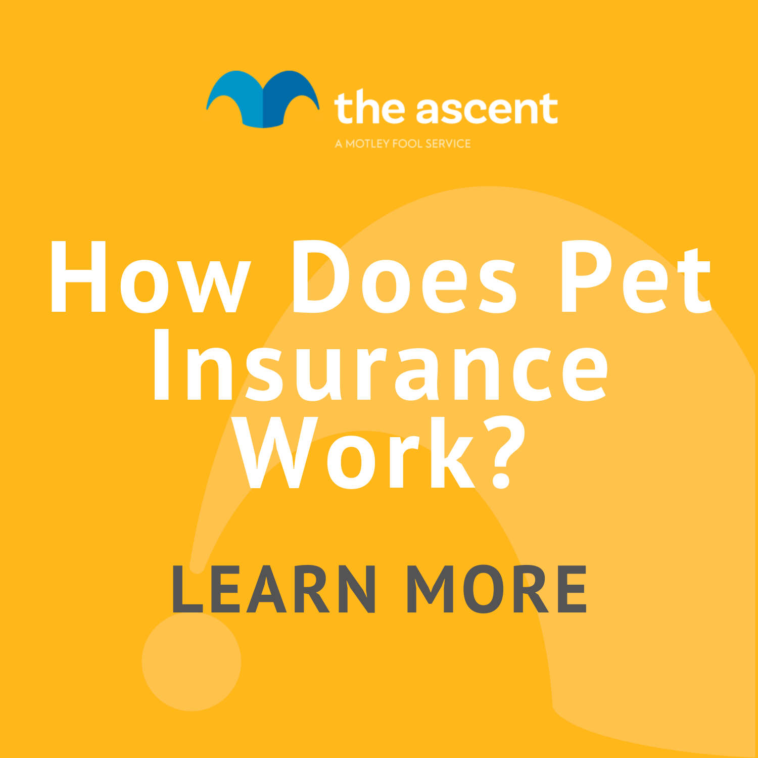 How Does Pet Insurance Work? | The Motley Fool