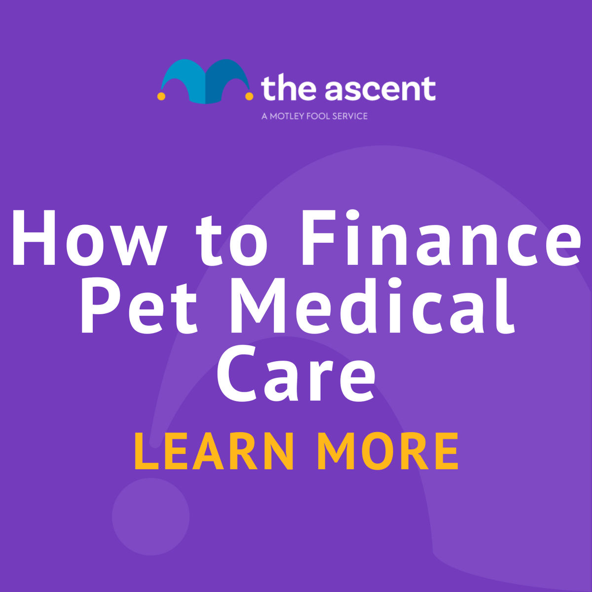 How to Finance Pet Medical Care | The Motley Fool