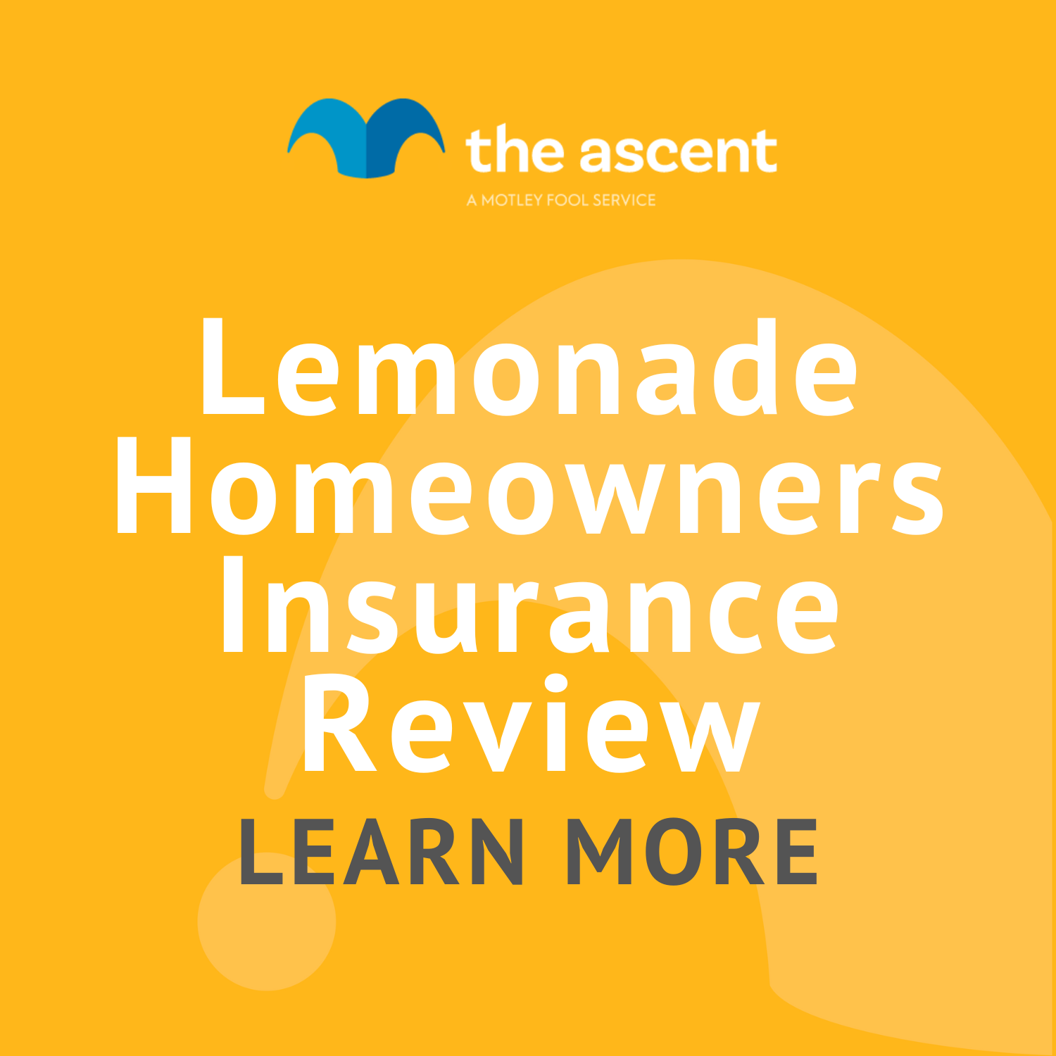 Lemonade Homeowners Insurance Review | The Motley Fool