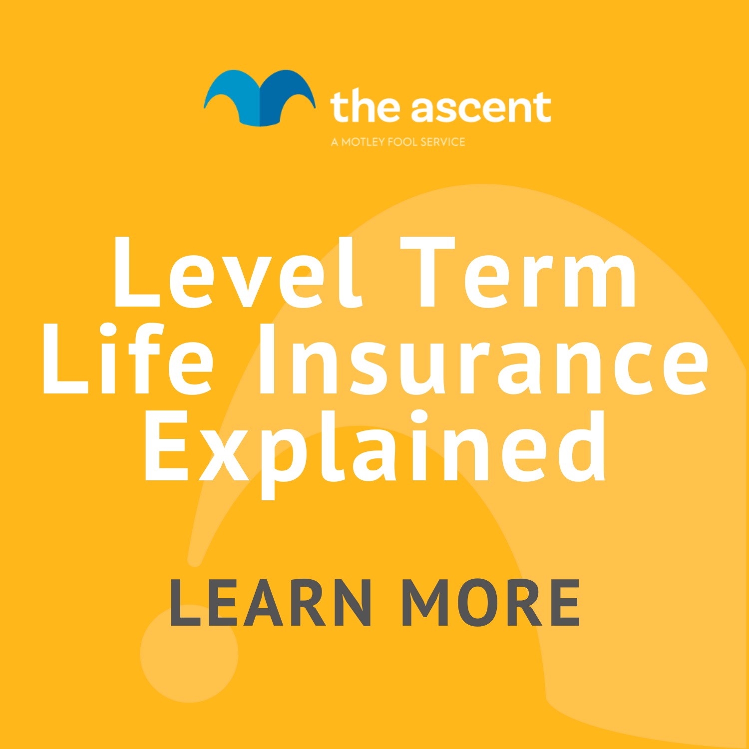 What types of Best Level Term Life Insurance are available? thumbnail