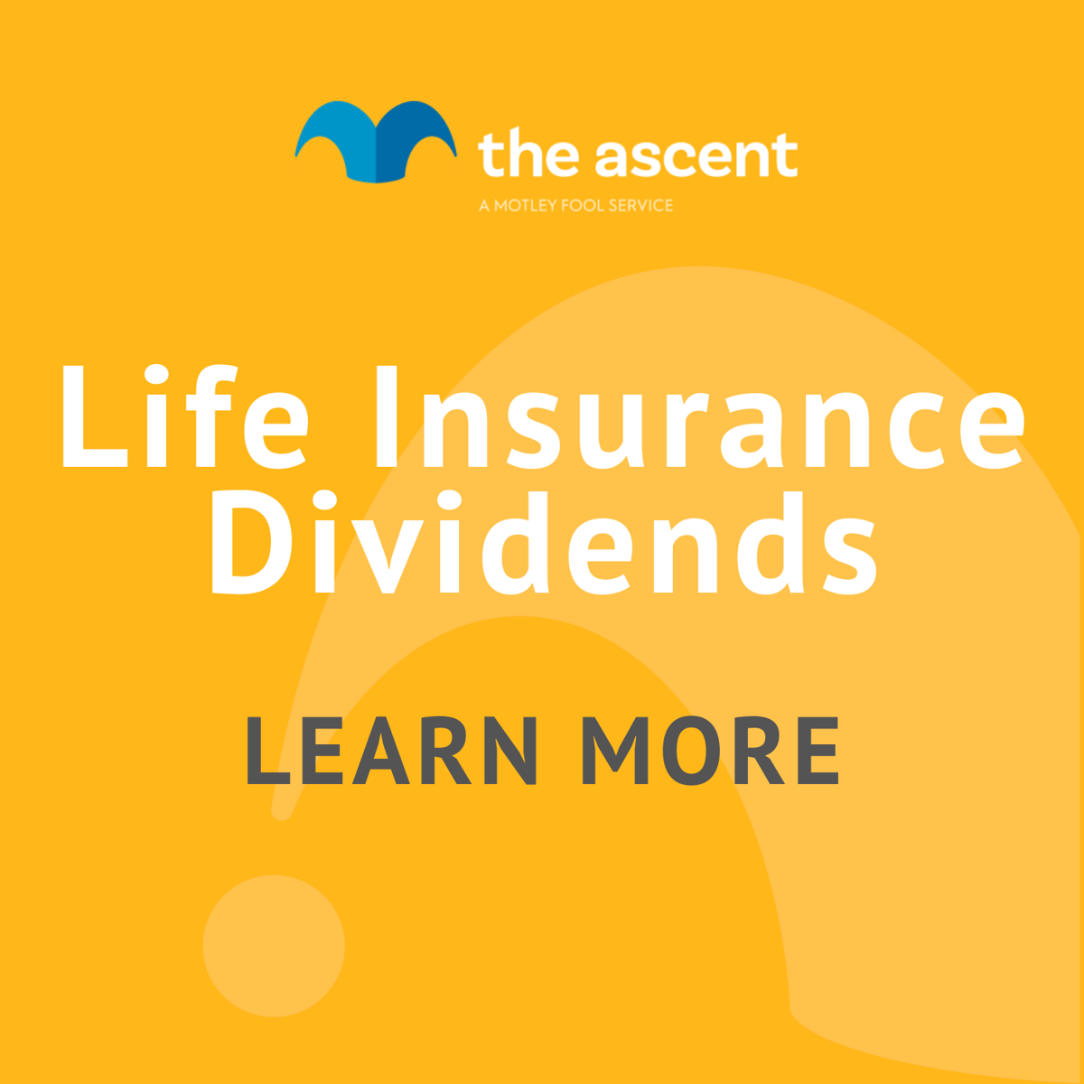 Life Insurance Dividends Know Your Options The Motley Fool