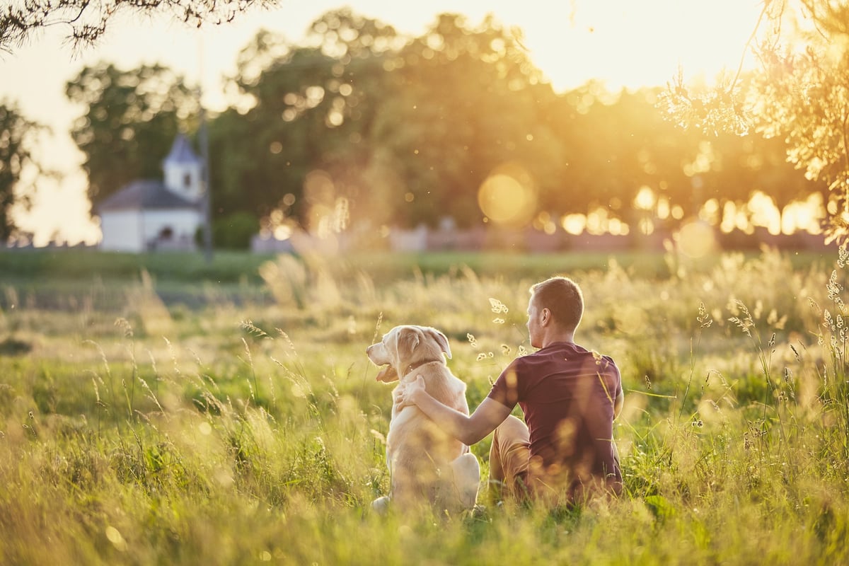 Can You Get Pet Insurance plan for an Older Pet dog? Can You Get Pet Insurance plan for an Older Pet dog?