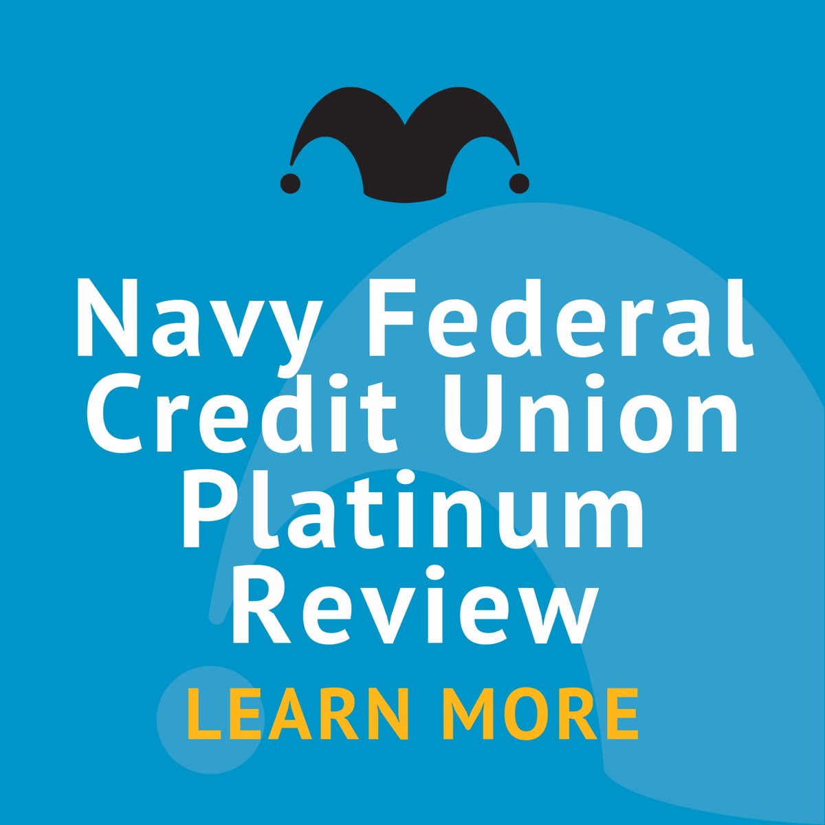 Navy Federal Credit Union Platinum Rating