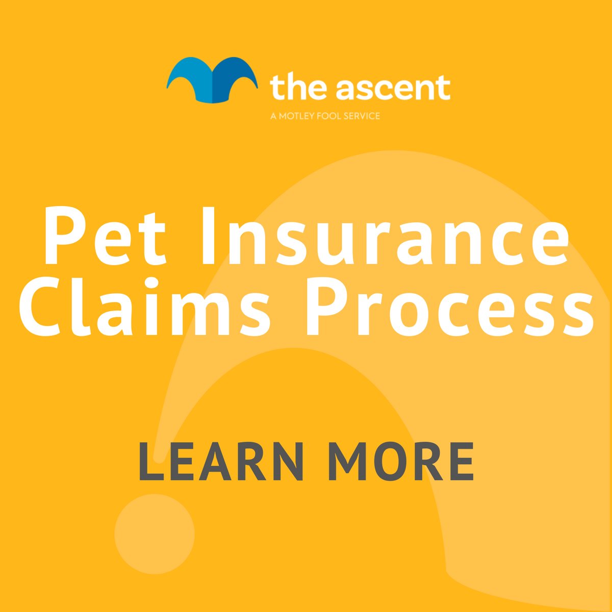 Pet Insurance Claims Process | The Motley Fool