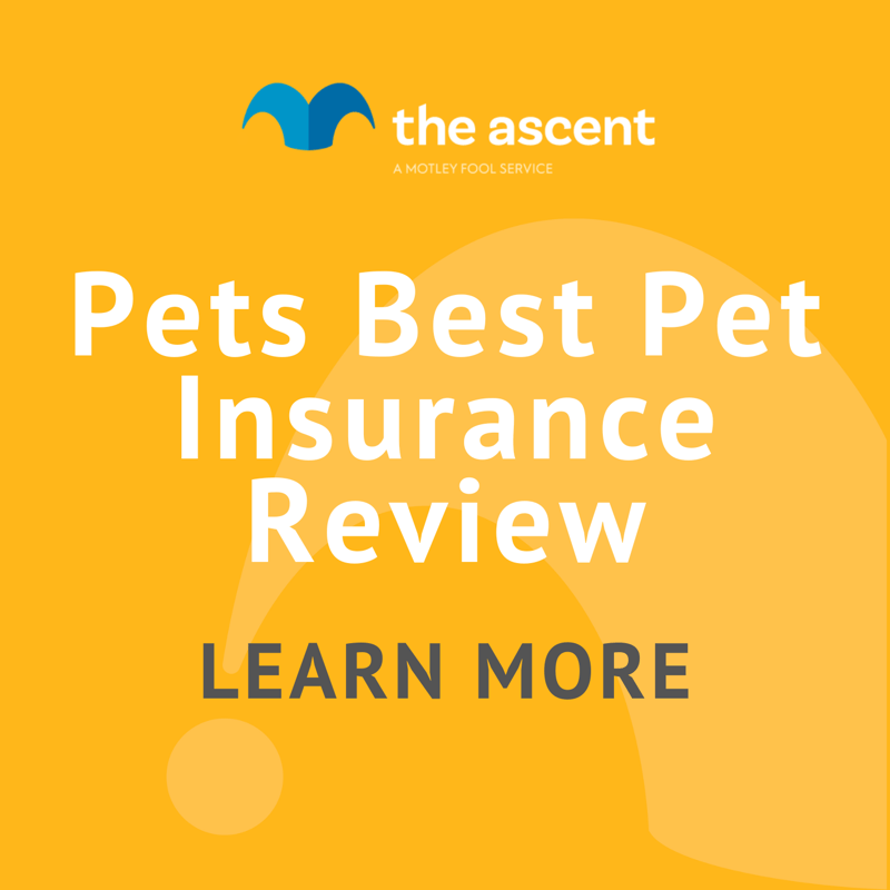 Pets Best Pet Insurance Review The Motley Fool