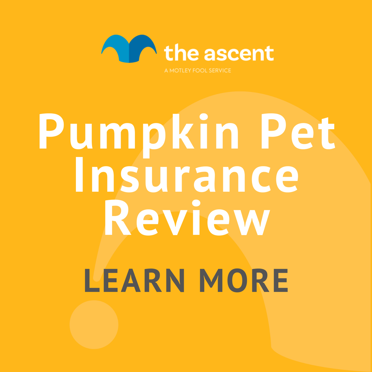 Pumpkin Pet Insurance Review The Motley Fool