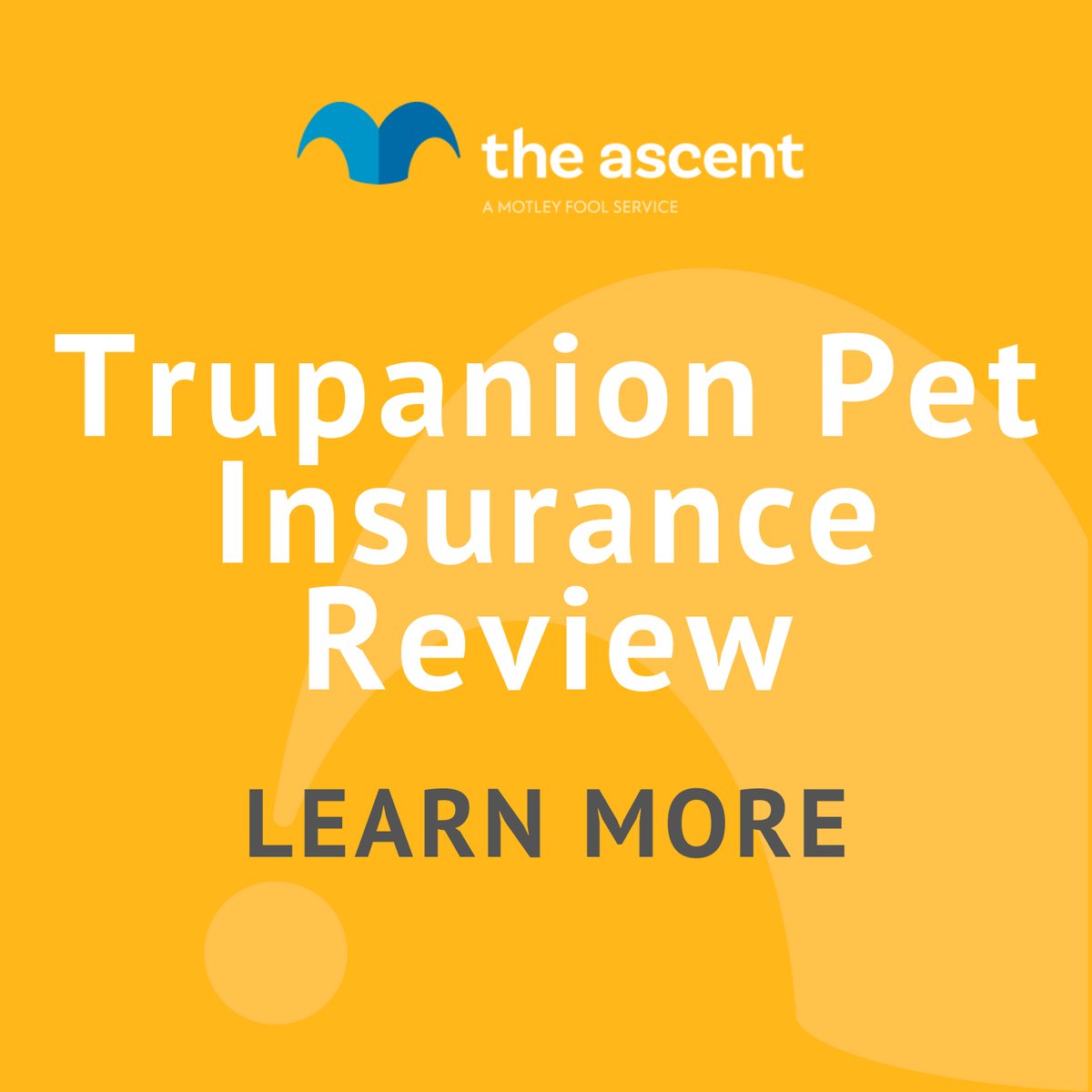 Trupanion Pet Insurance Review | The Motley Fool