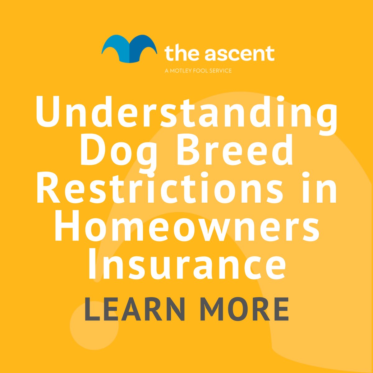 Home Insurance Dog Breed Restrictions Guide The Motley Fool