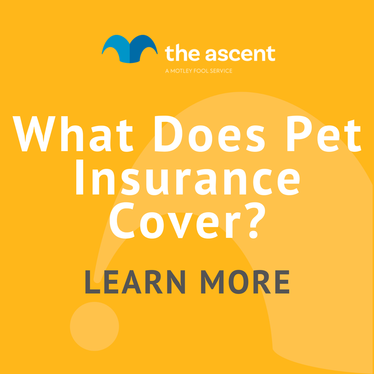 What Does Pet Insurance Cover? The Motley Fool