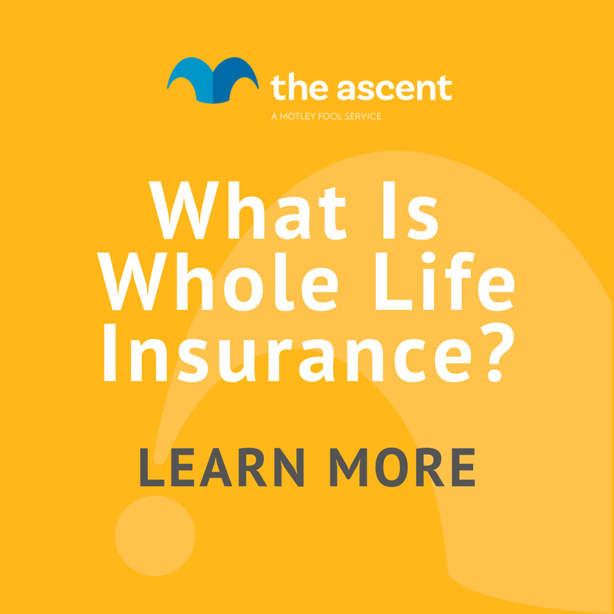 whole life insurance