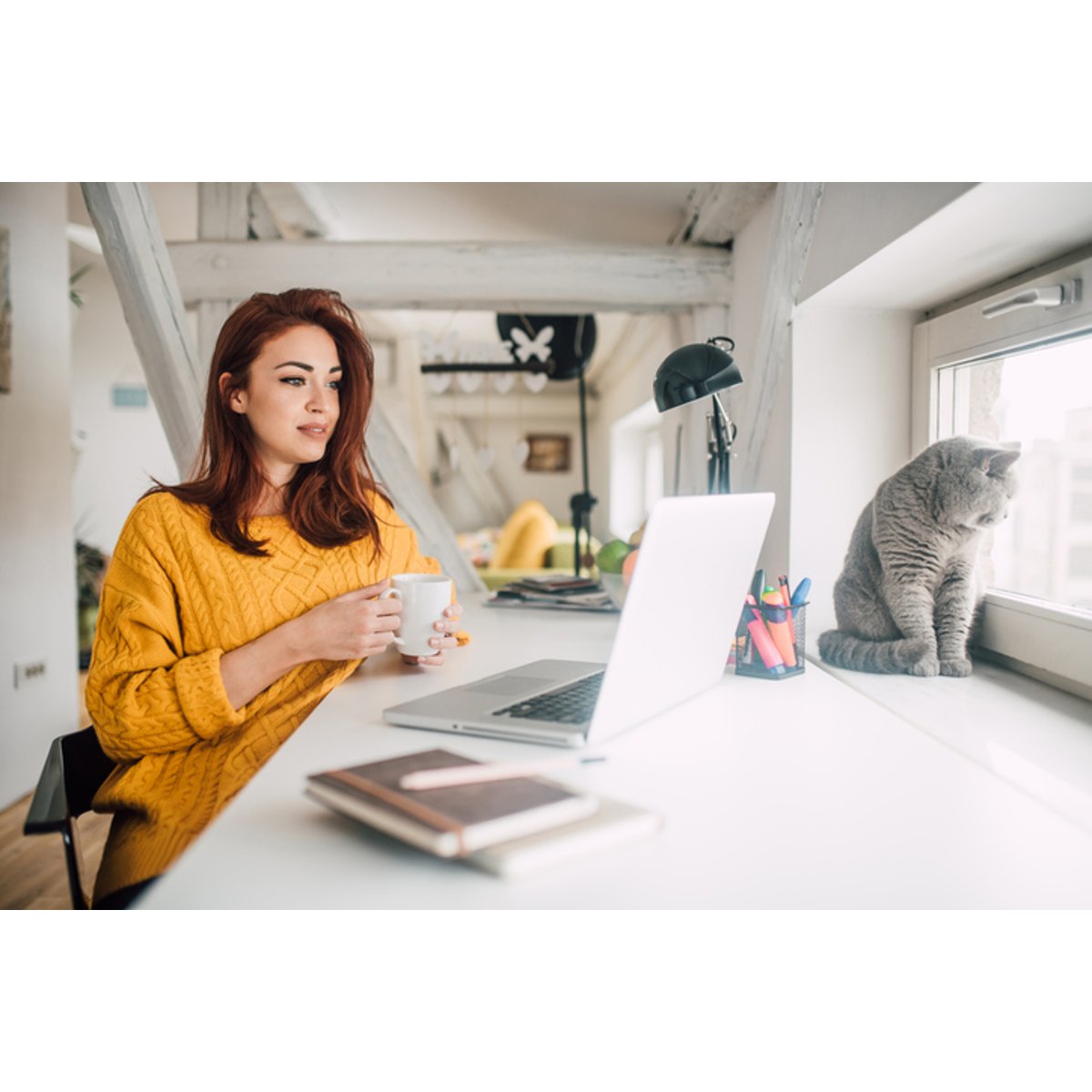 Your Pet Insurance Probably Won’t Cover Required Vaccines. Here’s Why Your Pet Insurance Probably Won’t Cover Required Vaccines. Here’s Why