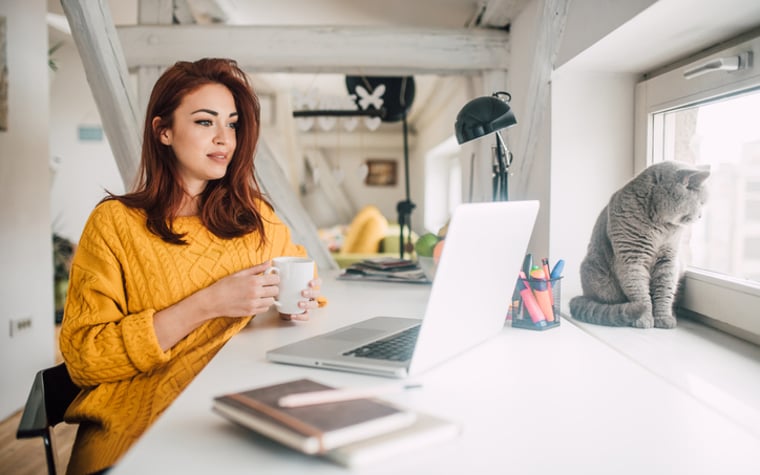 Young Woman With Cat Looking At Laptop