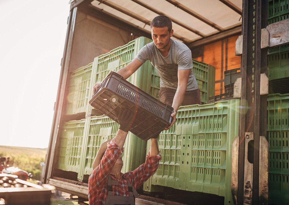 A young man helps unload a truck.