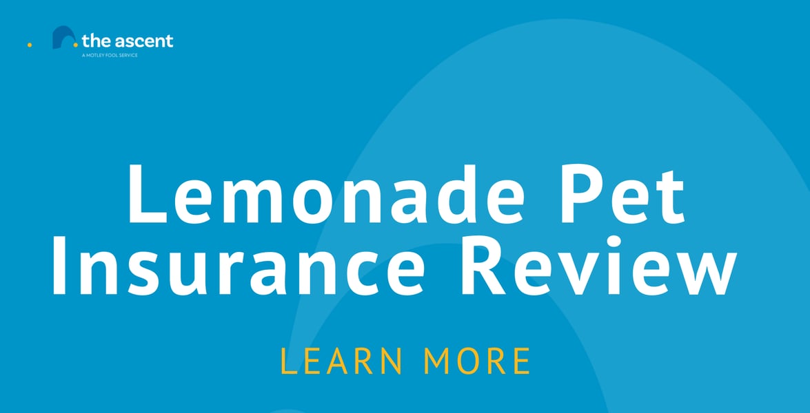 Lemonade Pet Insurance Review The Ascent