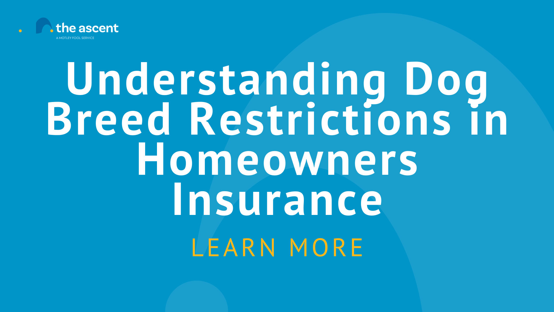 Home Insurance Dog Breed Restrictions Guide | The Motley Fool