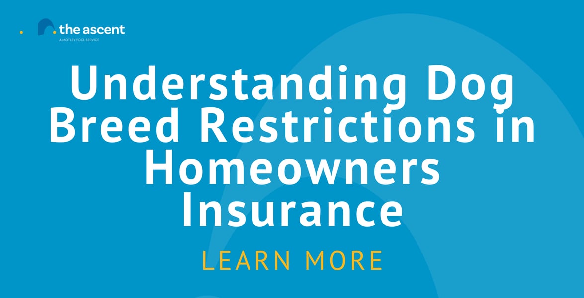 Home Insurance Dog Breed Restrictions Guide The Motley Fool