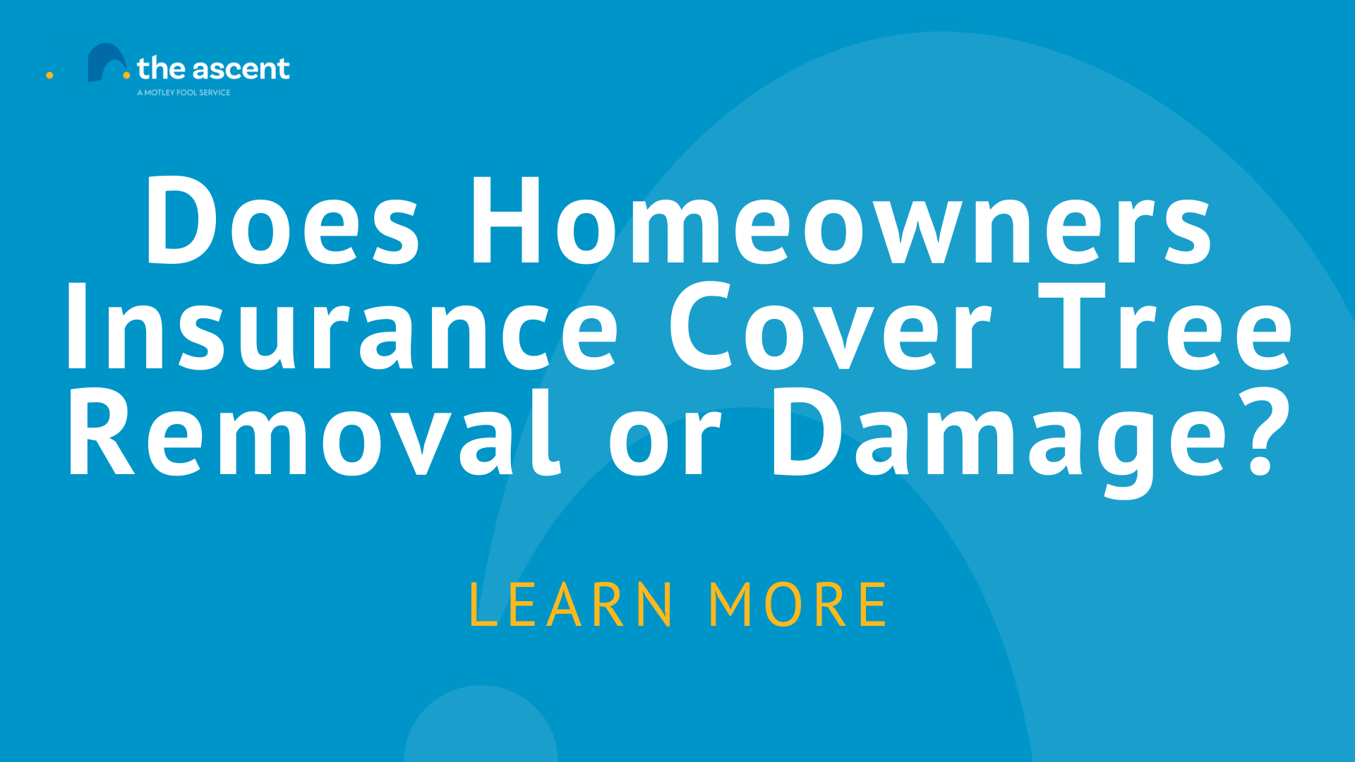 does-home-insurance-cover-tree-removal-the-motley-fool