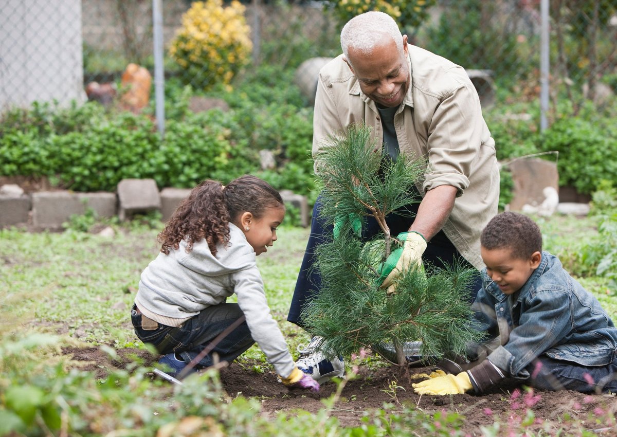 An older adult and two young children planting a small tree.