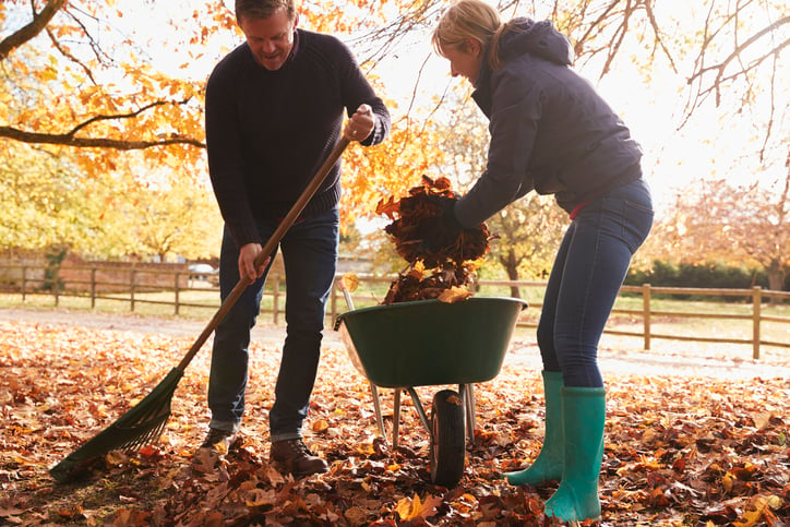 A man and a woman rake autumn leaves in a wheelbarrow.