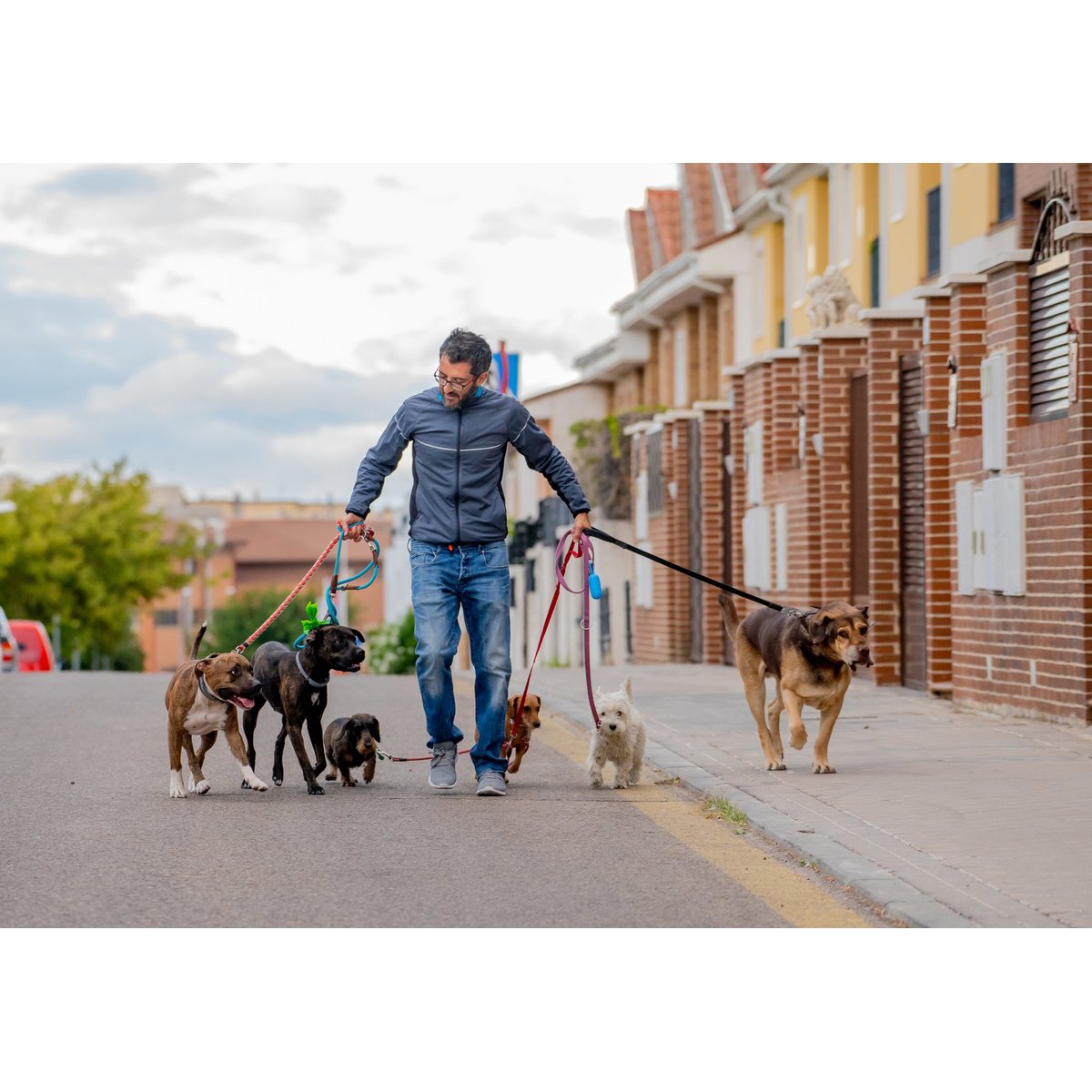 6 Holiday Gift Ideas for Animal Lovers