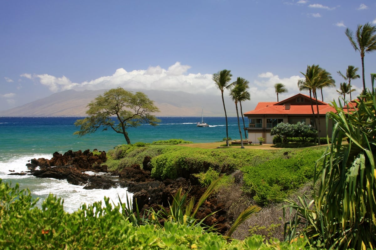 A house and palm trees sitting on a grassy bluff overlooking the ocean.