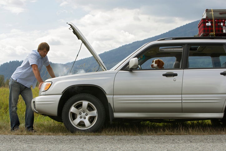 A man looking under the hood of his car on the side of the road with a dog in the passenger's seat.