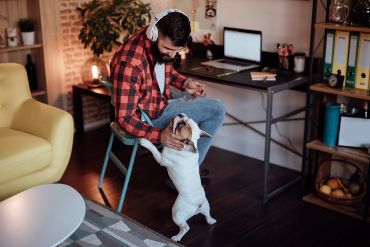 A man wearing headphones and working from a desk in his living room while petting his dog.