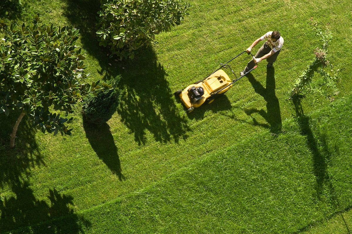 A person pushing a lawn mower across a large, green lawn.