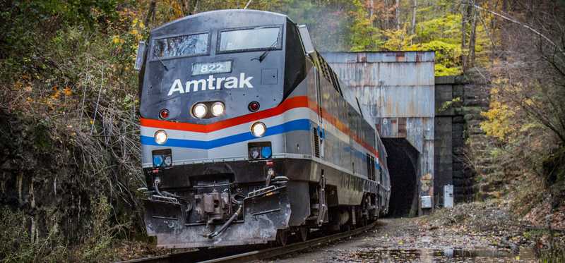 An Amtrak train on a track through a wooded area.