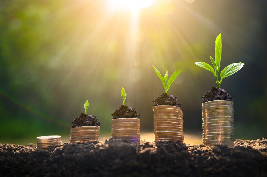 Stacked row of coins with plants growing from the top.