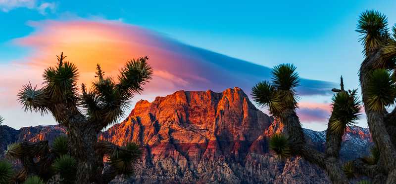 Nevada desert landscape at dusk with mountains, cacti, and the sunlight reflecting off the clouds in the background.