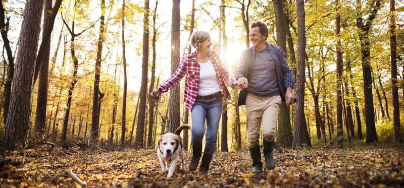 Two people walking in the woods with a dog.