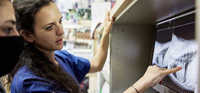 Medical technologists and imaging equipment.