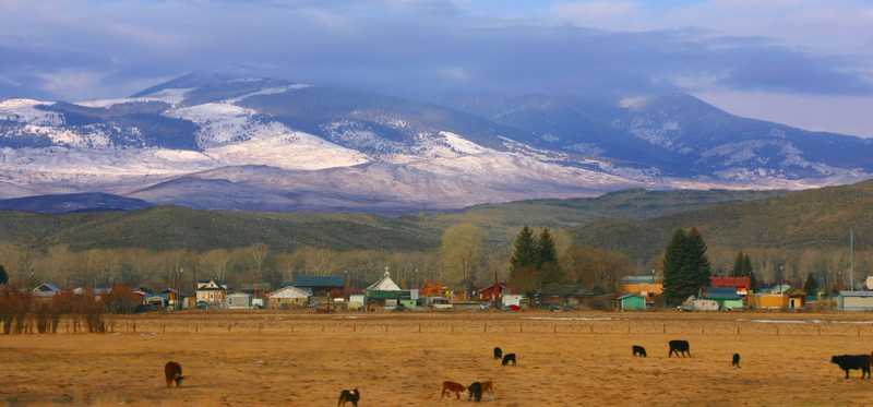 Animals grazing in front of mountains.