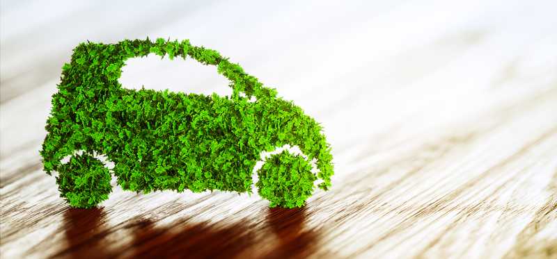 The image of a car made up of greenery.