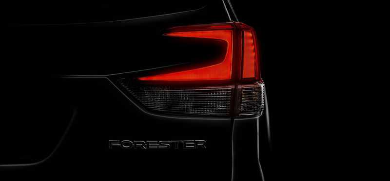 Close-up detail of 2019 Subaru Forester