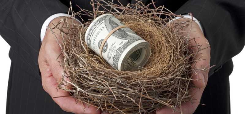Hands holding nest with roll of bills in it