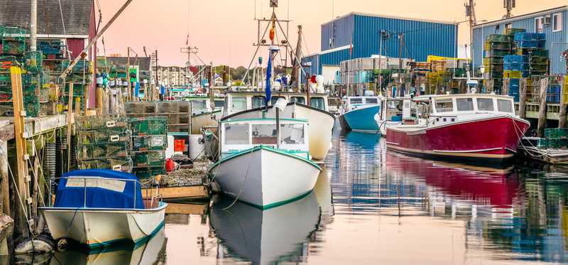 Fishing boats in a harbor.