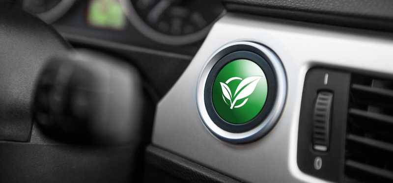 Leaves on a car's green start button