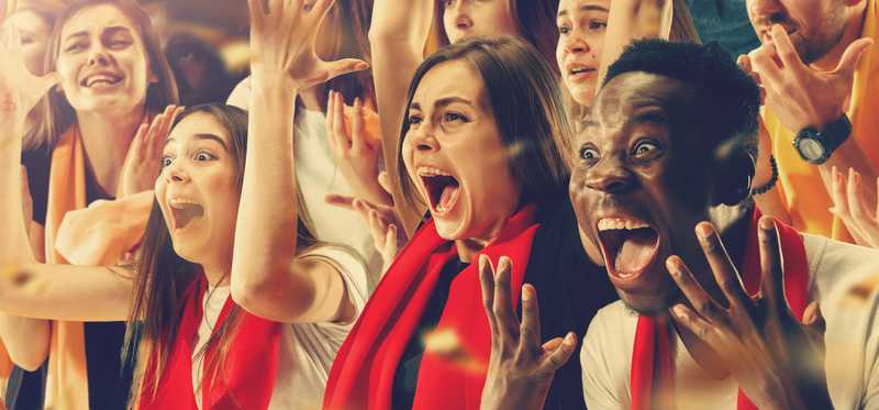 Sports fans cheering