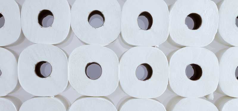 Lots of rolls of toilet paper in stacked rows.