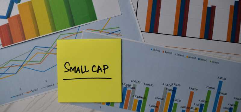 Small Cap written on sticky note among pages containing colorful bar graphs.