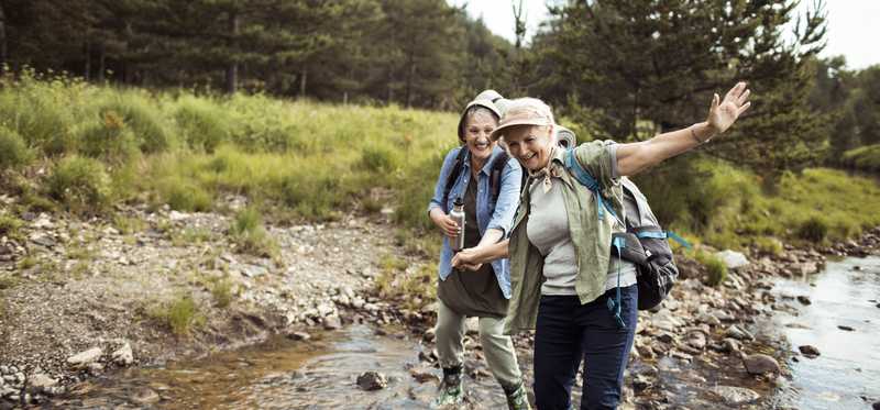 Two hikers holding hands while walking through a stream in a forest.